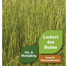 Grünpflanzen-Abbildung mit dem Text ''Lockert den Boden'', ''Sorgt für Pflanzennährstoffe'' und ''Ein- und mehrjährig''.