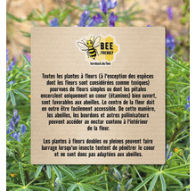 Informations sur la conception d''un jardin respectueux des abeilles