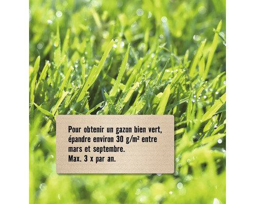 Brins d''herbe avec des instructions d''entretien de la pelouse