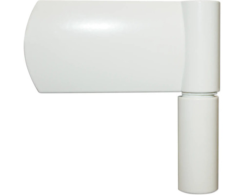 Paumelle de porte en acier