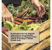 Gemüseernte in Holzkiste mit Händen