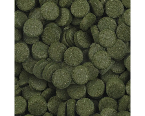 Nahaufnahme von Fischfuttertabletten