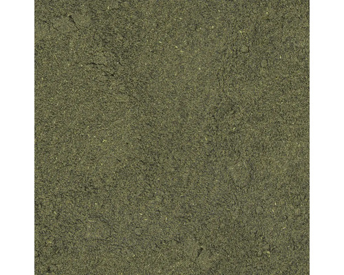 Nahaufnahme von Grassamen zur Rasenerneuerung