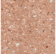 Gros plan d''un carreau de sol avec motif terrazzo.