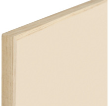 Vue détaillée d''un panneau de bois revêtu