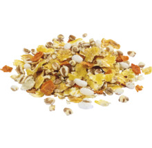 Müslizutaten mit Getreideflocken, Puffreis und Karottenstücken