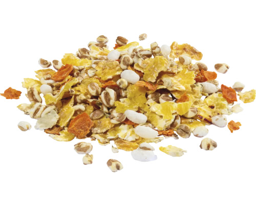 Müslizutaten mit Getreideflocken, Puffreis und Karottenstücken