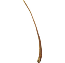 Getrockneter Kauartikel für Hunde aus Rinderkopfhaut