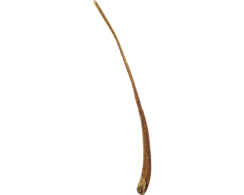 Getrockneter Kauartikel für Hunde aus Rinderkopfhaut