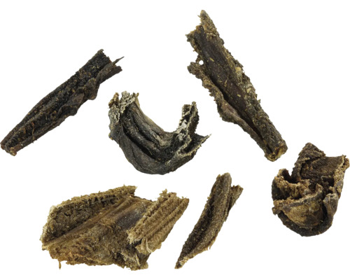 Morceaux de bois de racine