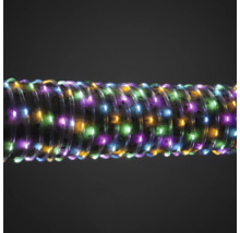 Guirlande lumineuse flexible avec différentes couleurs