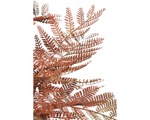 Gros plan sur une fougère couleur rouille pour les décorations.