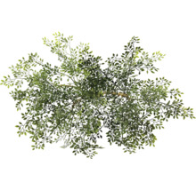 Vue de dessus d''un arbre artificiel avec des feuilles vertes.