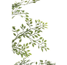 Branche avec feuilles vertes