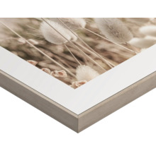 Detailaufnahme eines gerahmten Bildes mit floralem Motiv