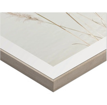 Nahaufnahme eines gerahmten Bildes mit Pflanzenmotiv