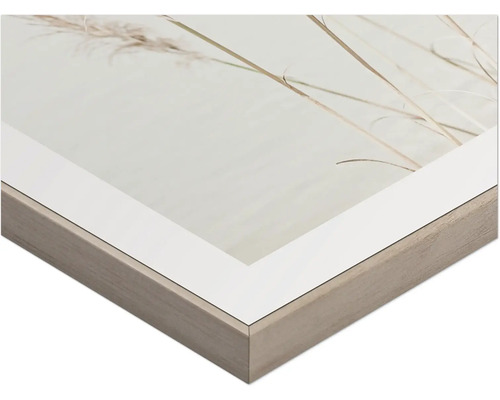 Nahaufnahme eines gerahmten Bildes mit Pflanzenmotiv