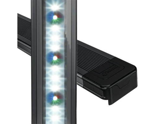 Aquariumbeleuchtung mit LED-Leuchten