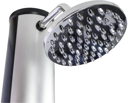 Pomme de douche avec bras de douche