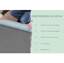 Gartenhaus Karibu Carlson 2 mit Schleppdach und selbstklebender Dachfolie 542,5 x 276 cm natur