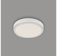 LED Einbauleuchte Plat Kunststoff 1 x 3 W 350 lm weiss Ø 68 mm