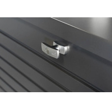 Detailansicht eines abschliessbaren Griffs an einer Gerätebox