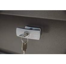 Blick auf ein Schloss mit Schlüssel im Türgriff der Marke Biohort