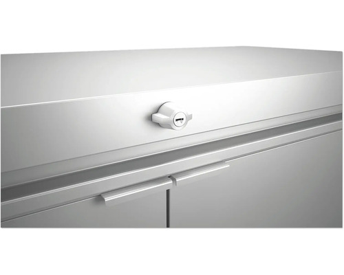 Vue détaillée d''une armoire métallique verrouillée avec poignées