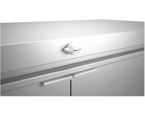 Detailaufnahme eines verschlossenen Metallschranks mit Griffen