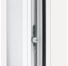 Fensterdetail mit Fenstergriff und Schloss