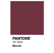 Teinte Pantone 19-1534 Merlot