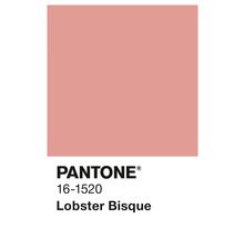 Pantone 16-1520 Lobster Bisque Farbfeld
