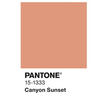 Nuancier Pantone 15-1333 Canyon Sunset