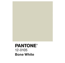 Couleur Pantone 12-0105 Bone White