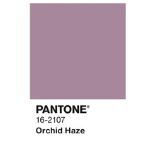 Pantone 16-2107 Orchidee Dunst Farbfeld