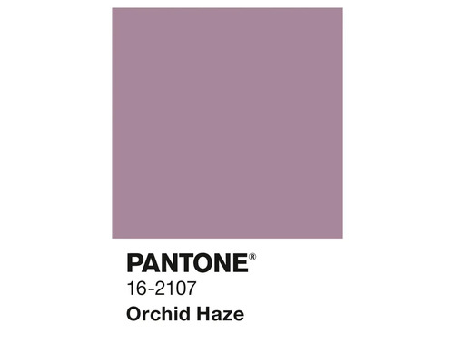 Pantone 16-2107 Orchidee Dunst Farbfeld