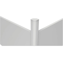 Poteau de balustrade avec inserts en verre