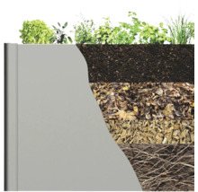 Coupe transversale d''une plantation avec différentes couches telles que des plantes, de la terre, des feuilles, des copeaux de bois et des racines