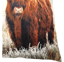 Coussin décoratif avec motif de vache Highland