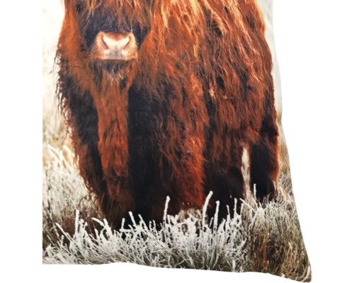 Coussin décoratif avec motif de vache Highland