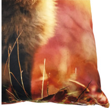 Coussin décoratif avec motif naturel