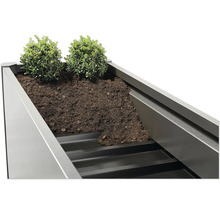 Jardinière surélevée avec terre et plantes