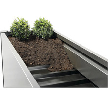Jardinière avec terre et plantation