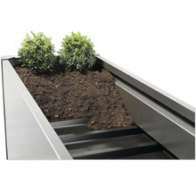 Jardinière surélevée avec terre et plantes