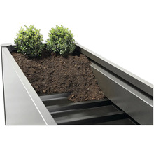 Jardinière surélevée avec terre et plantes
