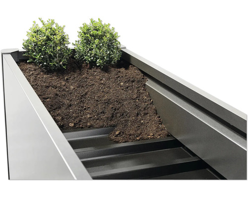 Jardinière surélevée avec terre et plantes