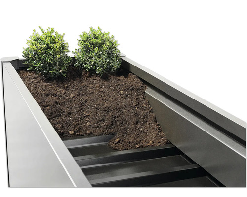 Vue détaillée d''un potager surélevé avec de la terre et des plantations