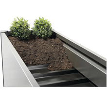 Jardinière surélevée avec plantes et terre
