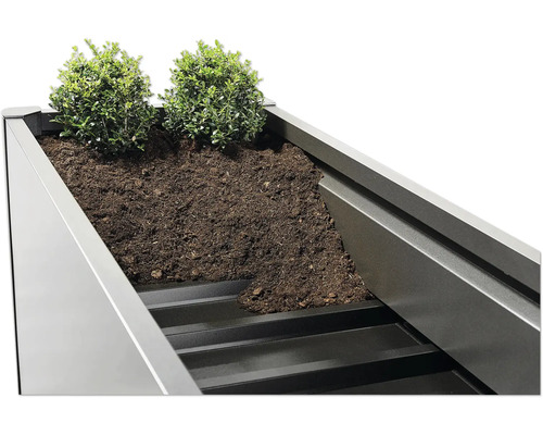 Vue détaillée d''une jardinière rectangulaire en métal plantée de terre et de plantes