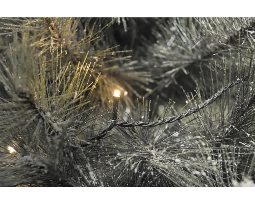 Gros plan d''une guirlande de sapin enneigée avec une guirlande lumineuse